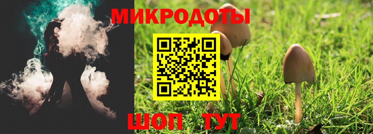 Галлюциногенные грибы Cubensis Сыктывкар